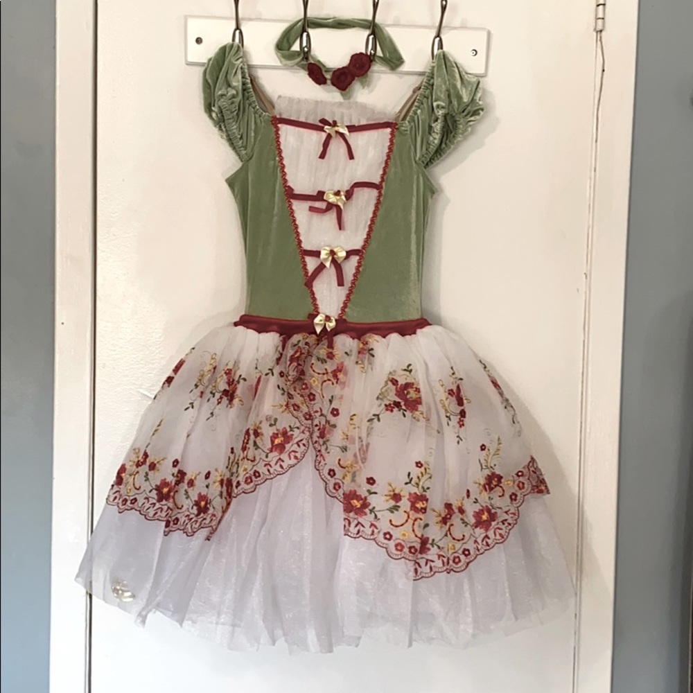 Gorgeous Ballet Costume (Gingerbread Dance)